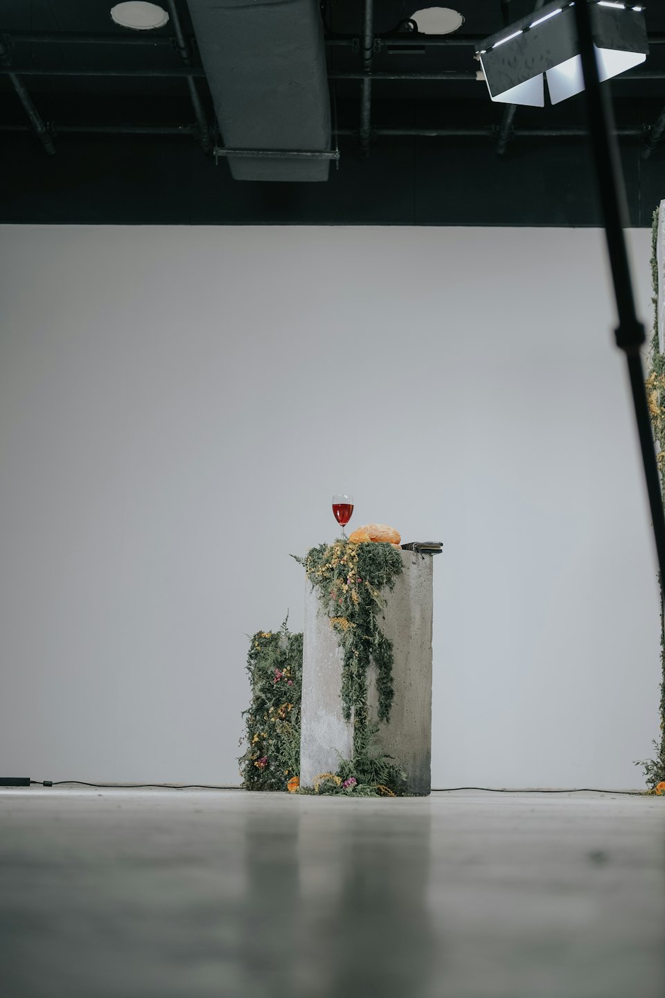 Vino, pane e fiori disposti su piedistalli da studio in cemento.